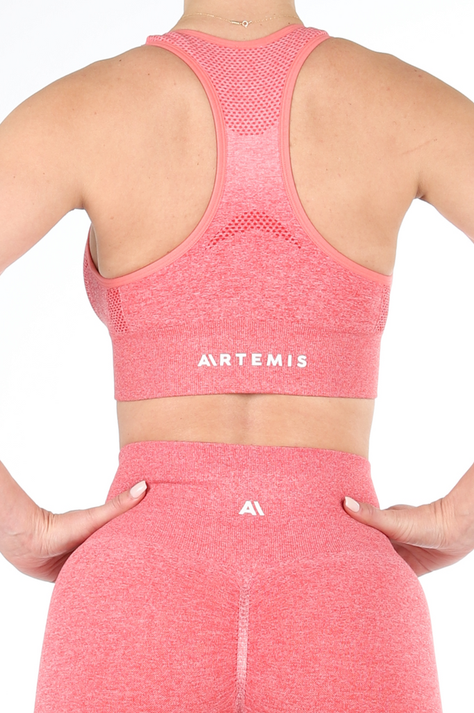 Ella Ombre Sports Bra Watermelon - Artemis Active