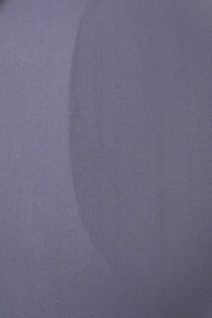 Kendall Scrunch Bum Shorts Navy - Artemis Active